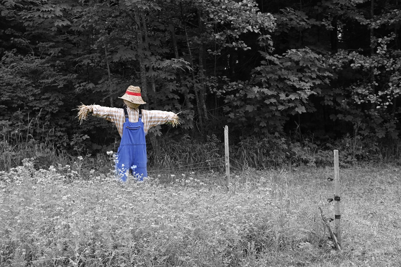 scarecrow-670720_1280 scarecrow-670720_1280