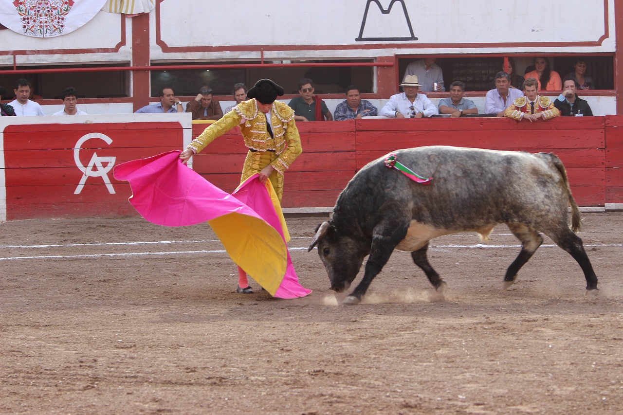 bull-5820995_1280 bull-5820995_1280