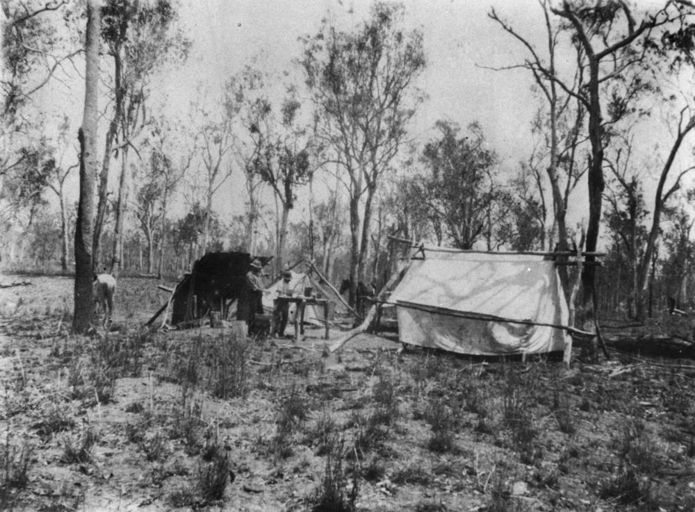 StateLibQld_1_175887_Drovers’_camp_at_Prospect_Creek,_Blue_Mountains,_New_South_Wales,_1919 StateLibQld_1_175887_Drovers’_camp_at_Prospect_Creek,_Blue_Mountains,_New_South_Wales,_1919