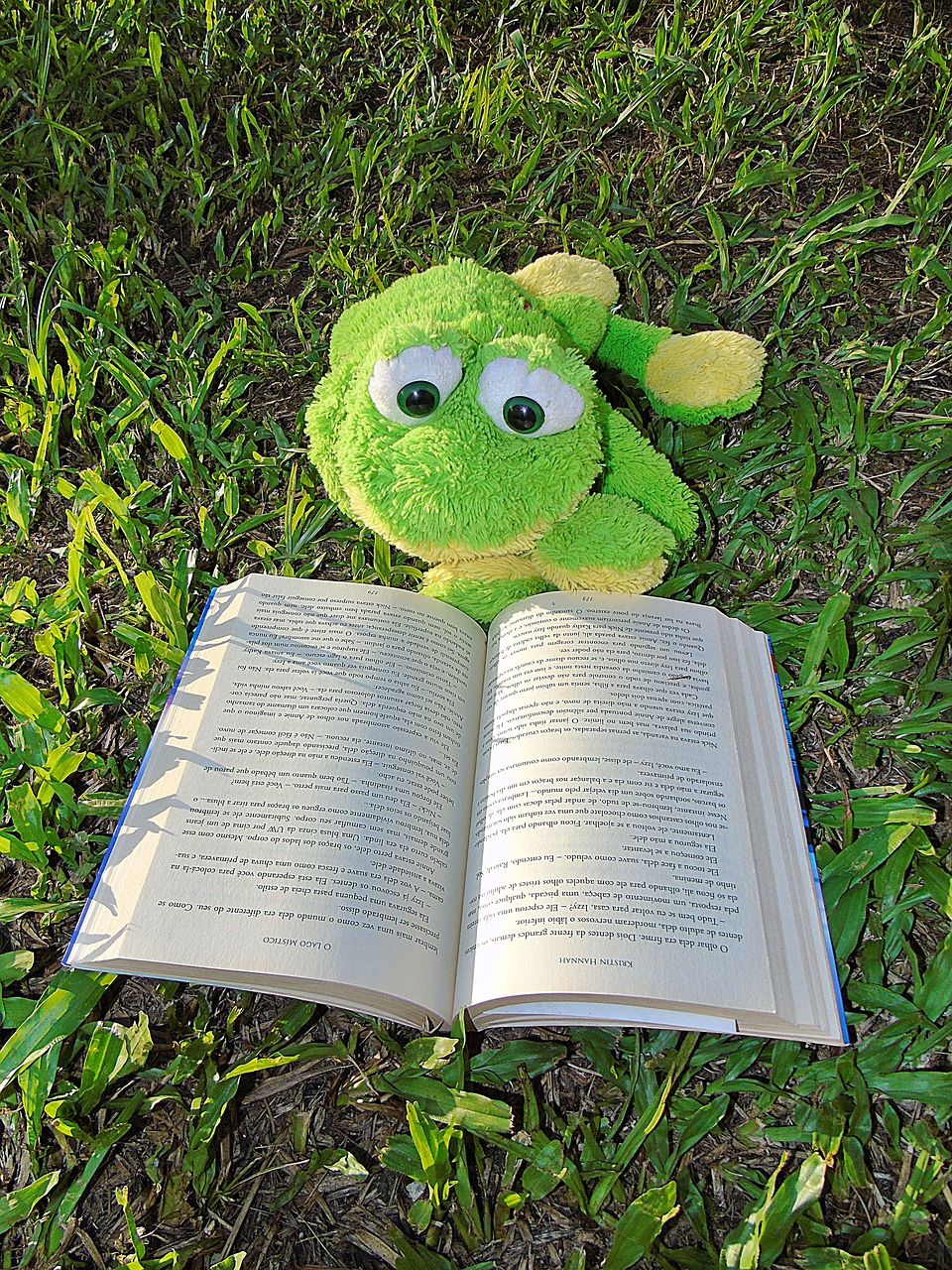 frog-6000092_1280 frog-6000092_1280