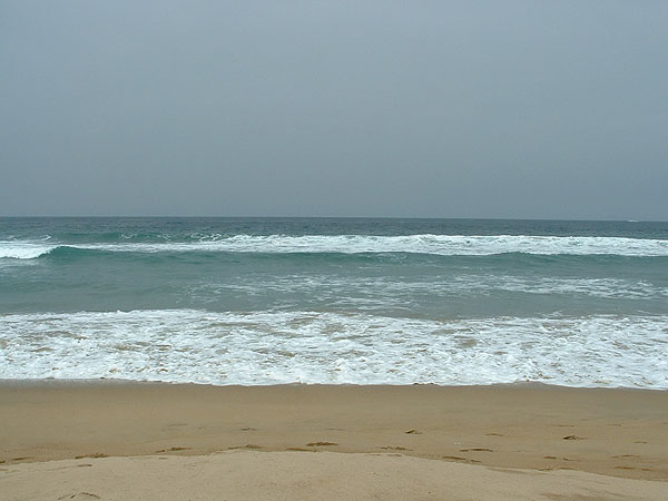 Sea-chile Sea-chile
