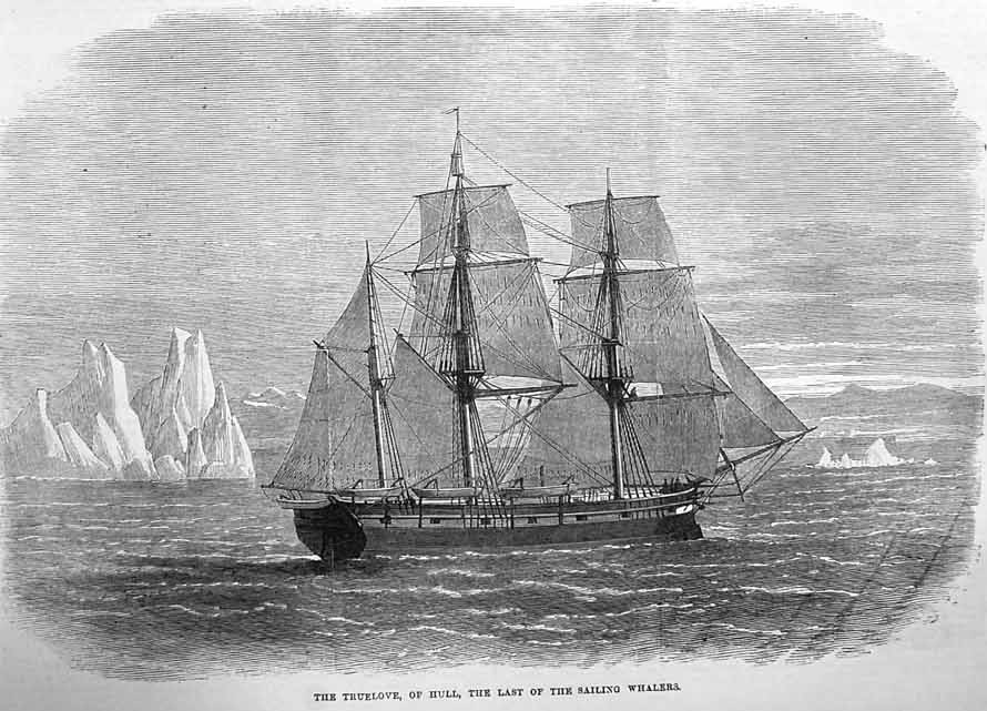 The_Truelove_Whaling_Ship_from_Hull The_Truelove_Whaling_Ship_from_Hull