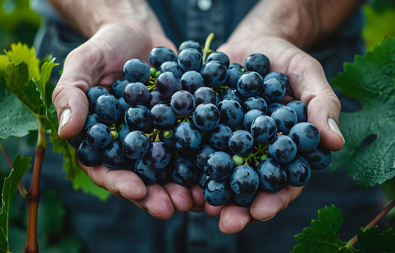 ai-generated-8634087_1280 ai-generated-8634087_1280